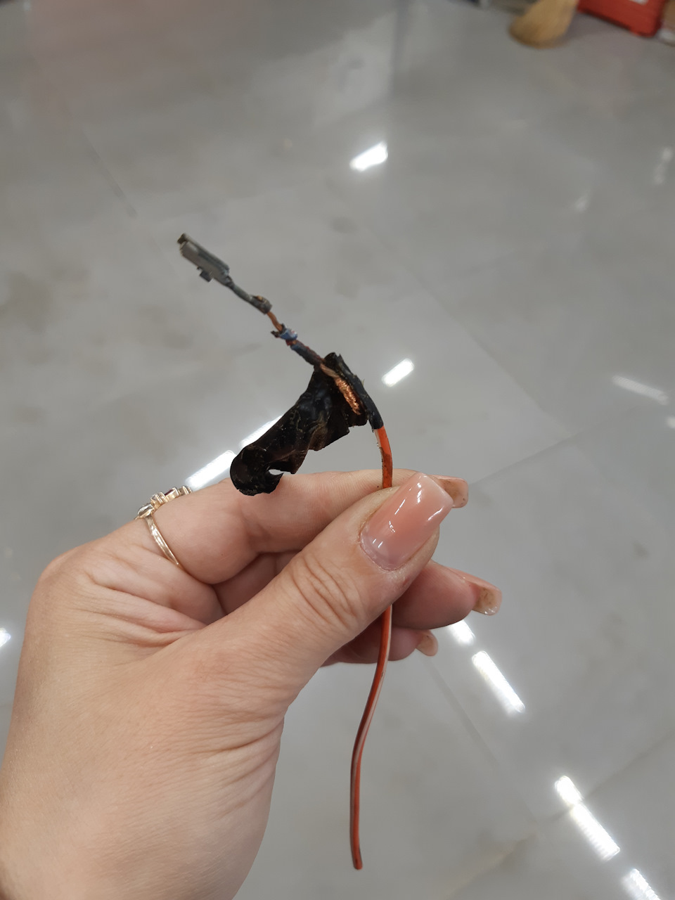 Синий с красным как положено. — Toyota Supra (80)