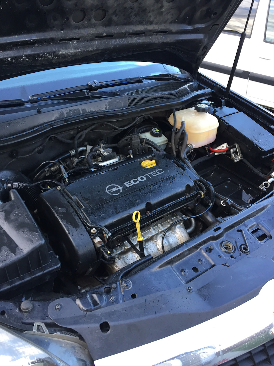 Замена прокладок маслоохладителя, мойка бачка антифриза, ремонт ...