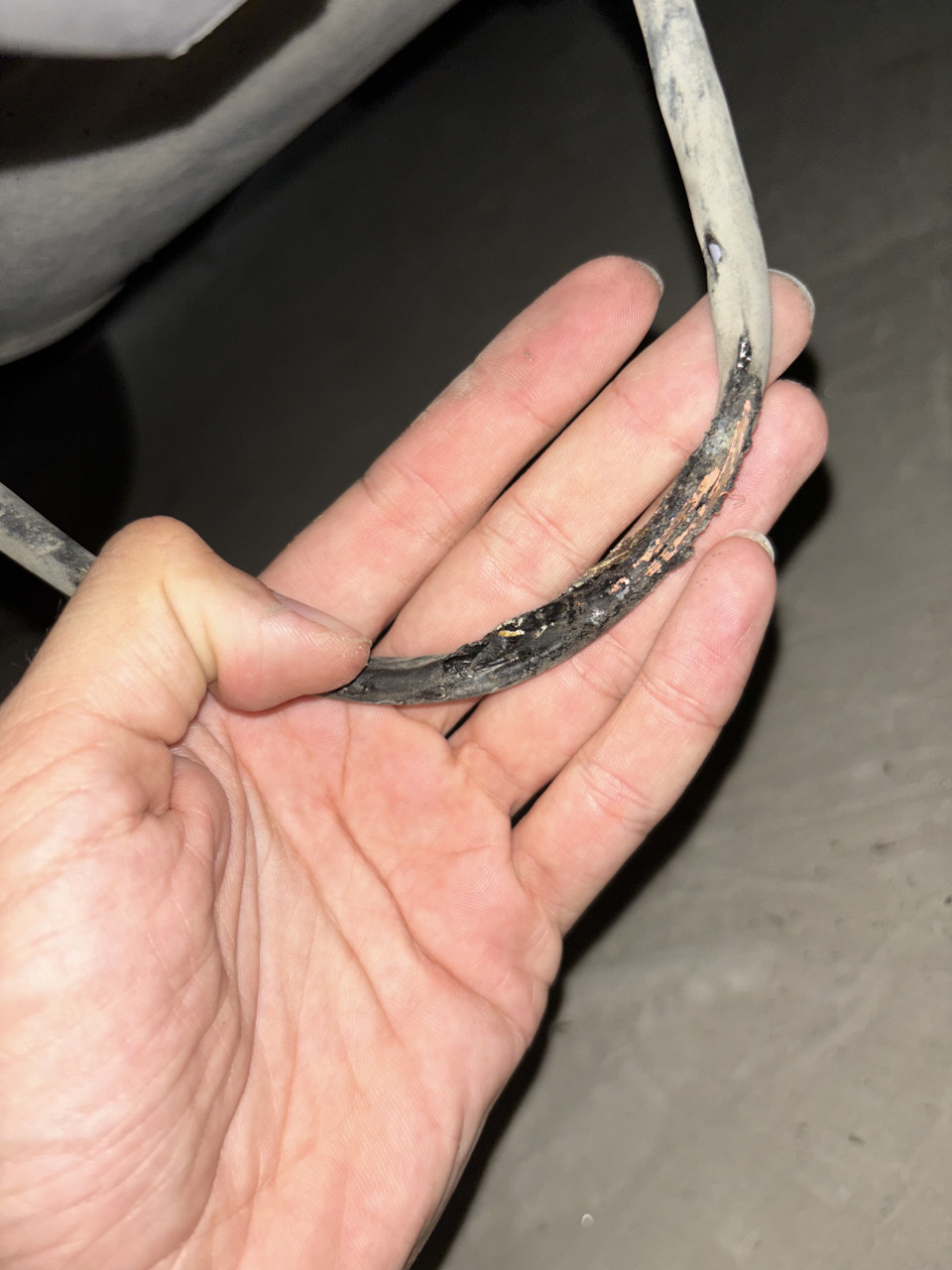 Писк, при включении поворота — KIA Sportage (4G), 2 л, 2018 года ...