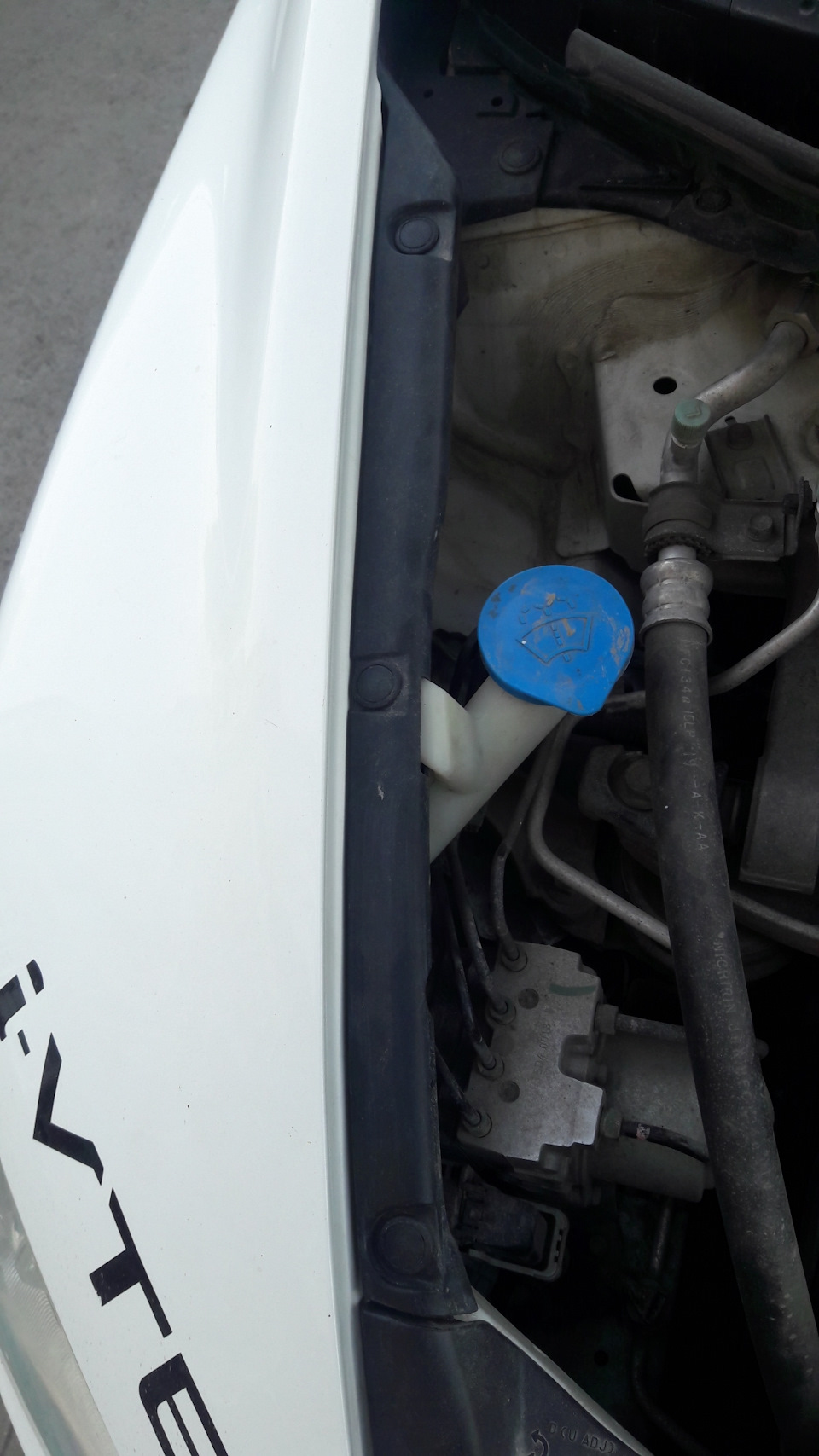 Клипсы Lex — Honda Civic 4D (8G), 1,8 л, 2008 года | просто так | DRIVE2