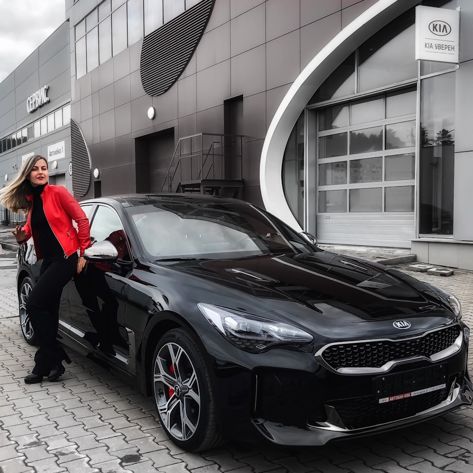 Покупка KIA Stinger — KIA Stinger, 3,3 л, 2019 года | покупка машины |  DRIVE2