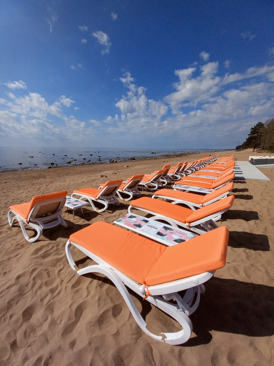 Фото в бортжурнале Renault Sandero 2G