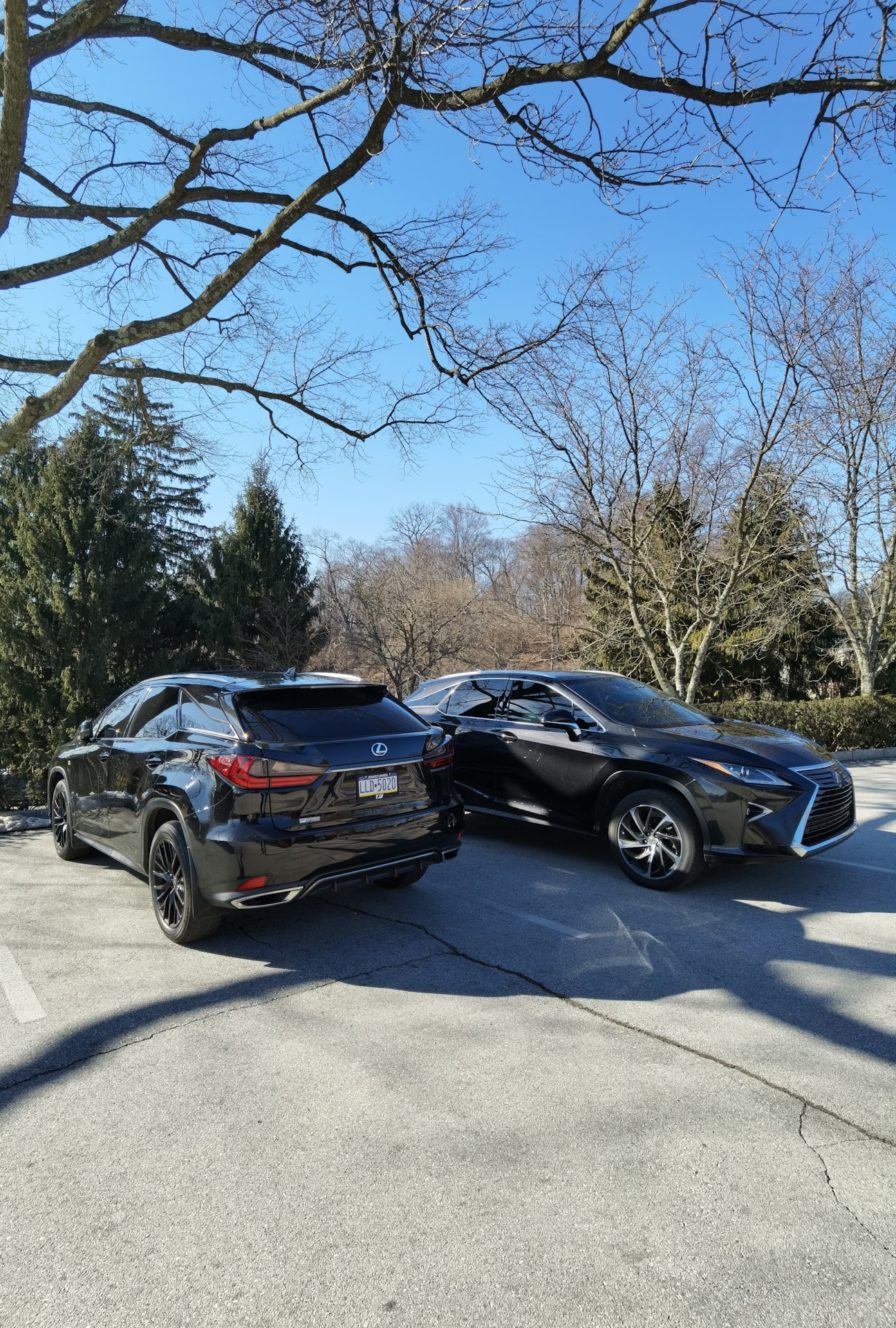 Тонер 35 — Lexus RX 450h (4G), 3,5 л, 2018 года | стайлинг | DRIVE2