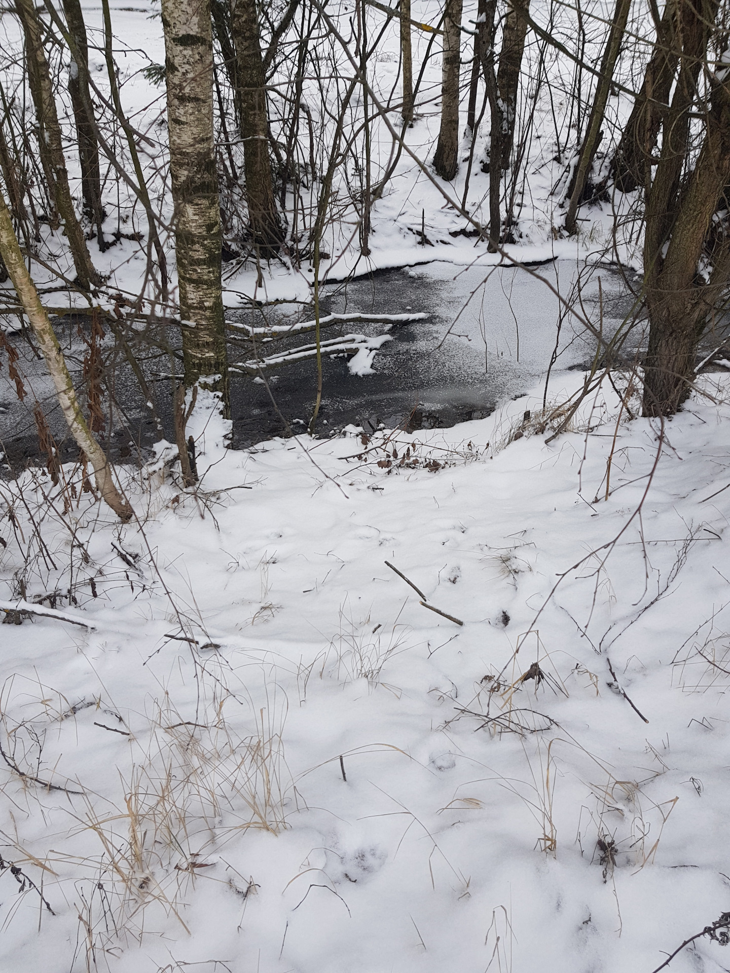 Travel to Saint Petersburg( травел ту Саинт Петерсбург) — Nissan ...