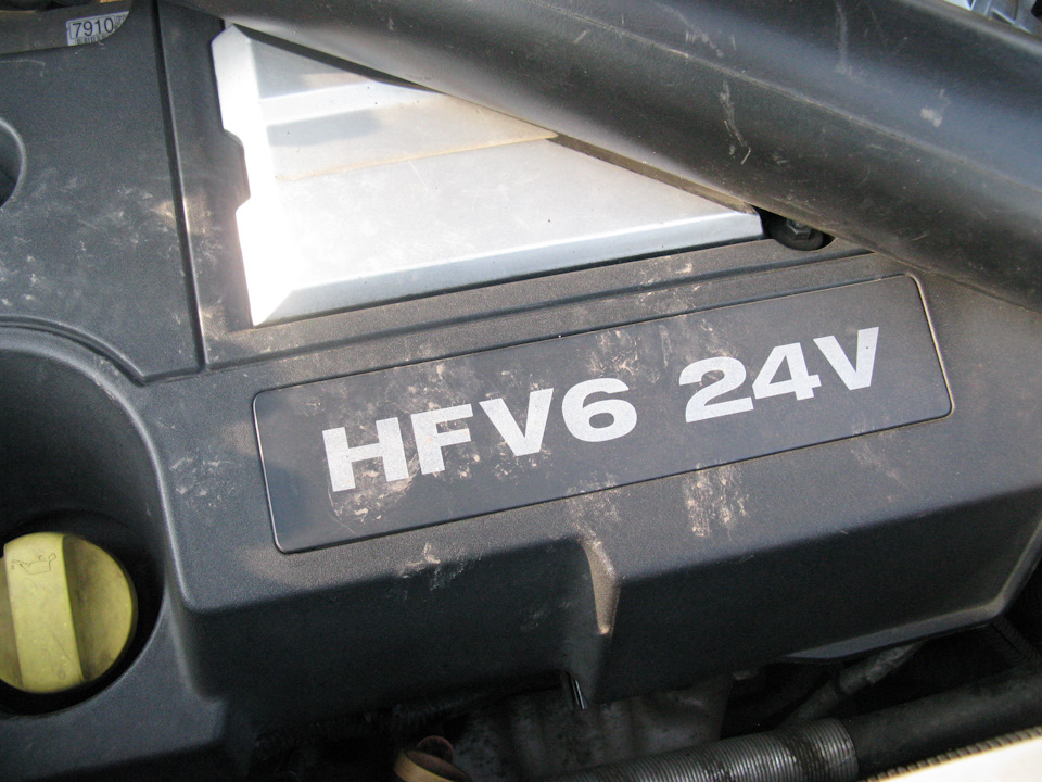 Животные под капотом (но не лошади) — DRIVE2