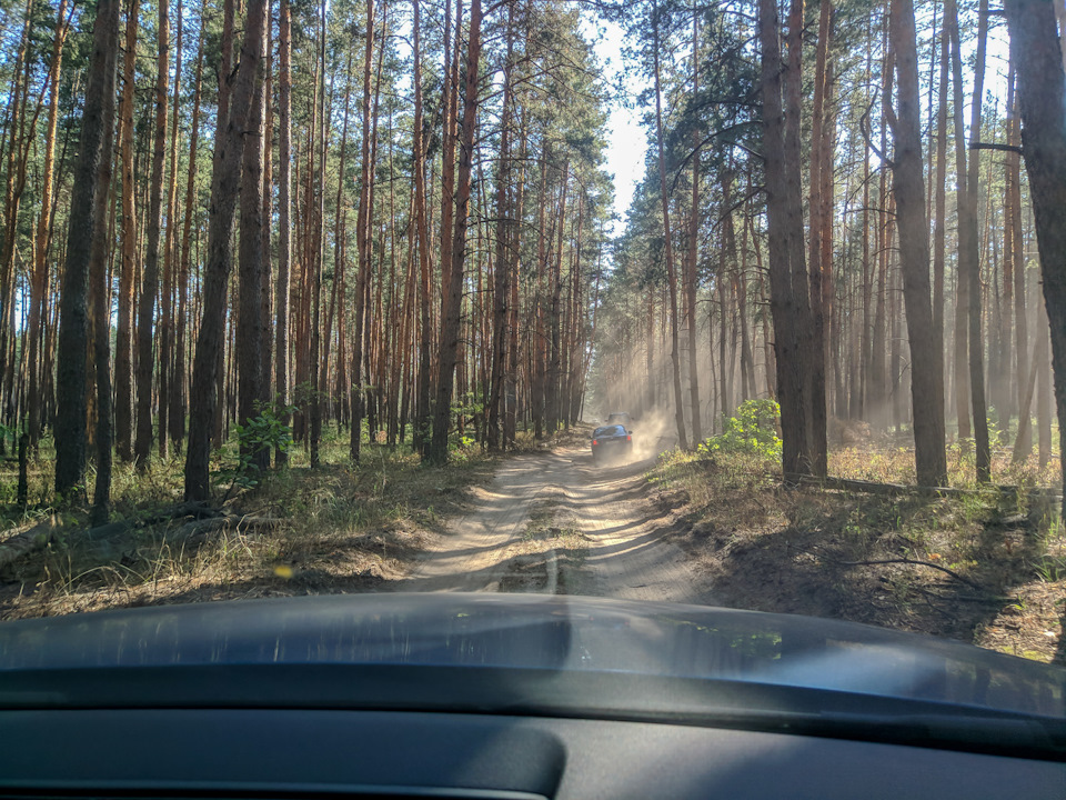 Дорога через лес при объезде Лосево — Audi A5 (1G)