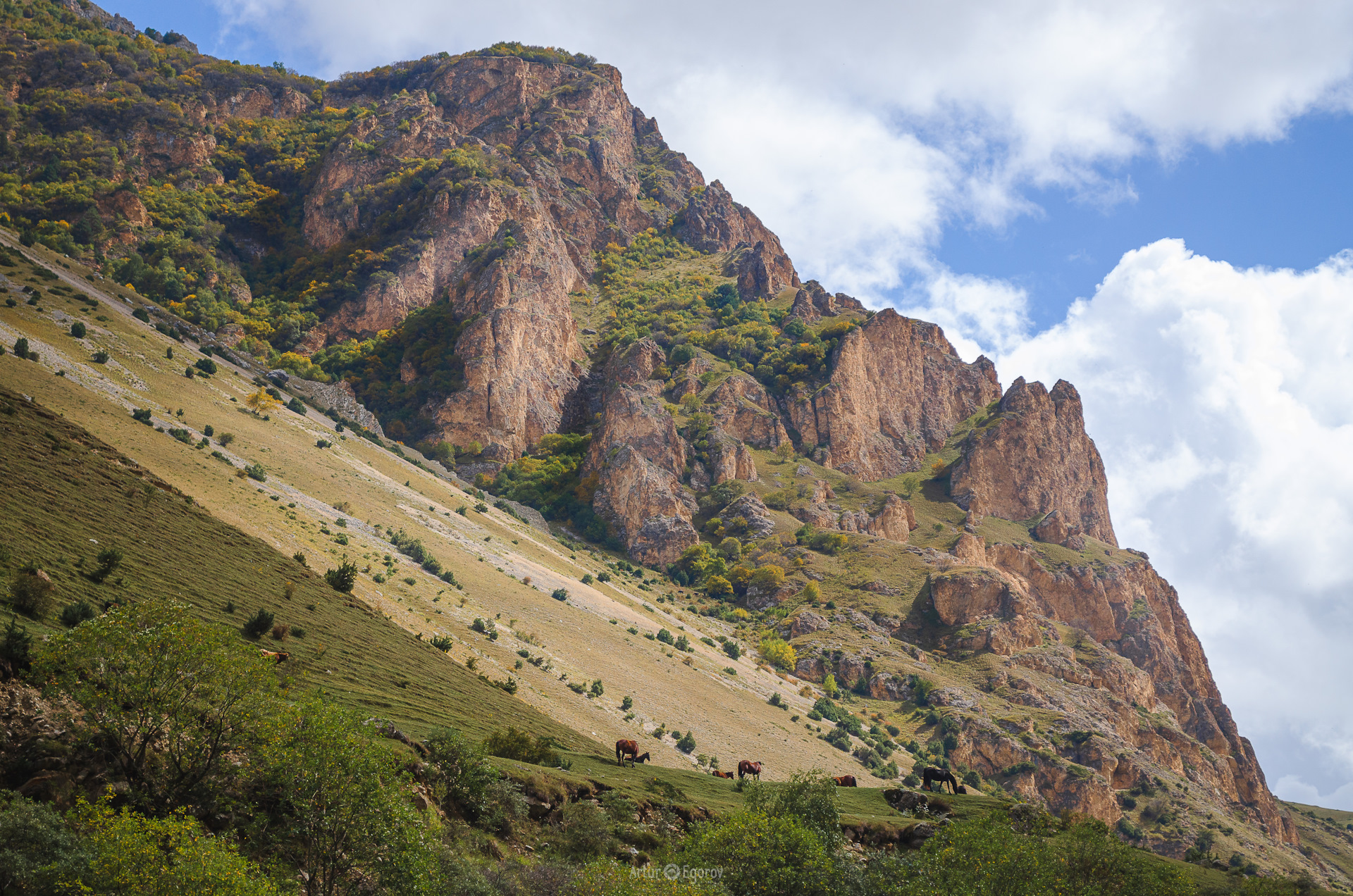 Флай чегем фото