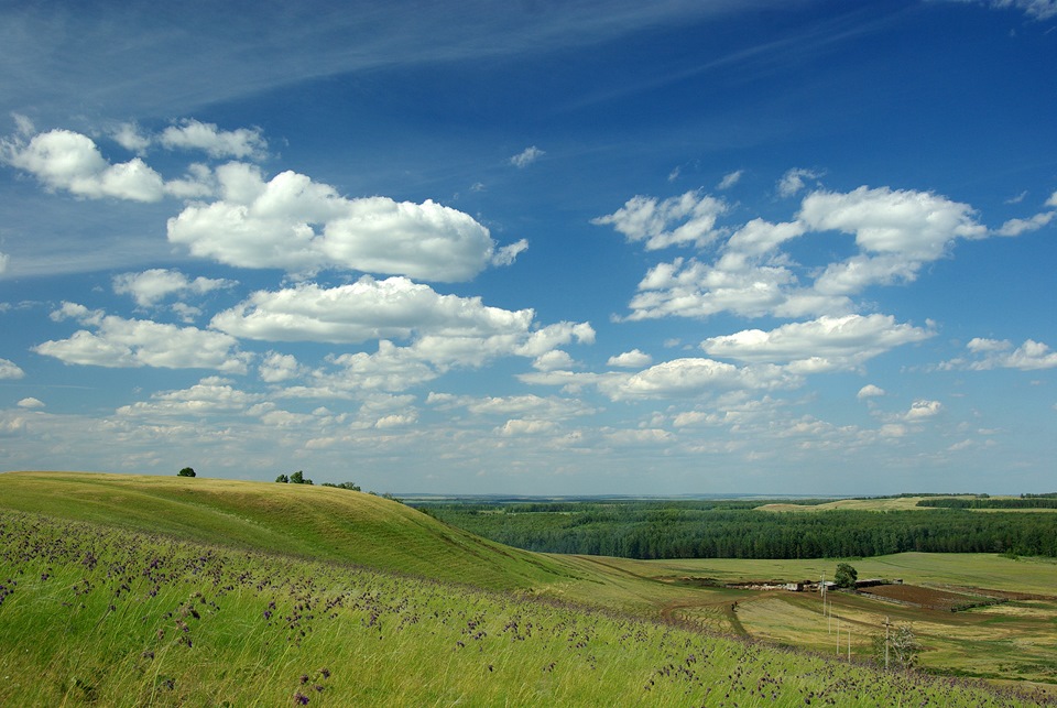 Луга Башкортостана