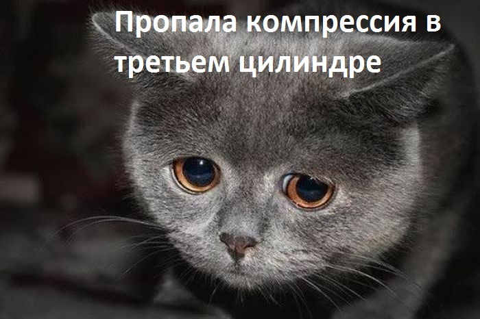 не ходите люди в эти отпуска после них полгода. синонимы к слову грусть. грусть печаль тоска. тоска уныние 5 букв. что означает слово тосва.