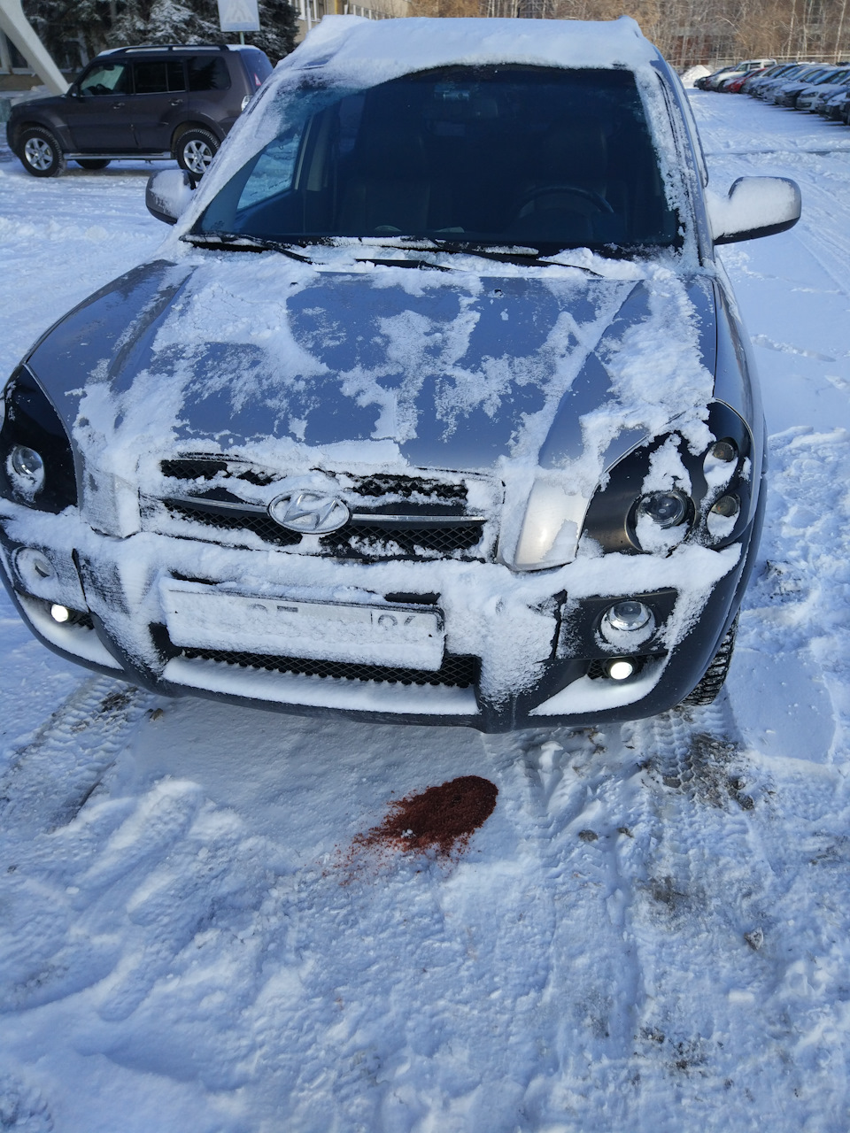 новый президент, новые неприятности — Hyundai Tucson (JM), 2,7 л, 2005