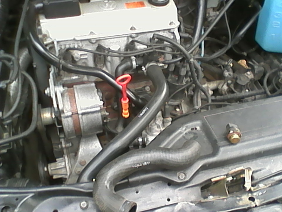 замена патрубка и датчика включения вентилятора — Volkswagen Passat ...
