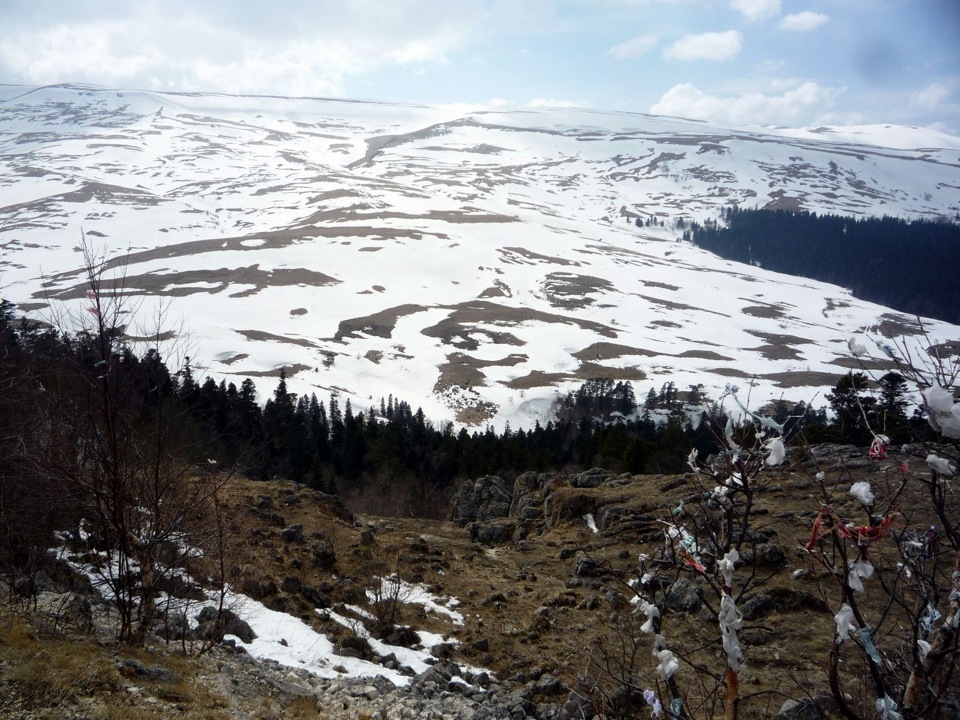 Веб камера в лагонаках