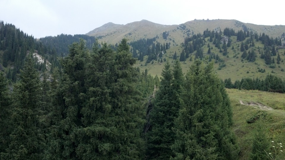 Скатался маршрутом ППП-Экопост Алмарасан-Кокжайляу-Просвещенец — DRIVE2