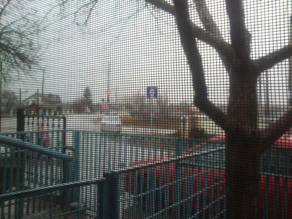 Пасутся на пьяной дороге — Renault Megane I, 2 л, 1997 года | ДТП | DRIVE2