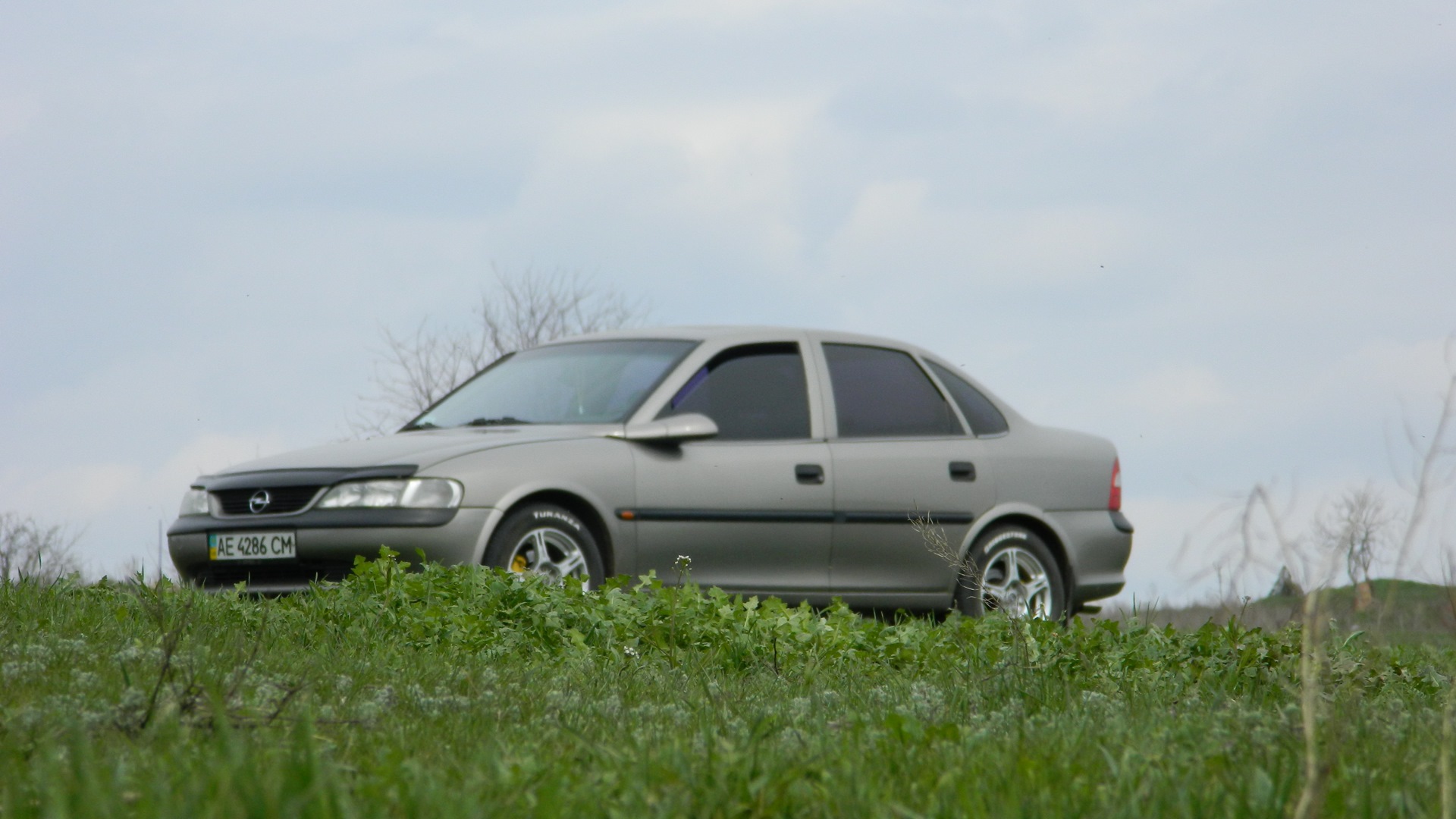 Opel Vectra B 1.6 бензиновый 1996 | на DRIVE2