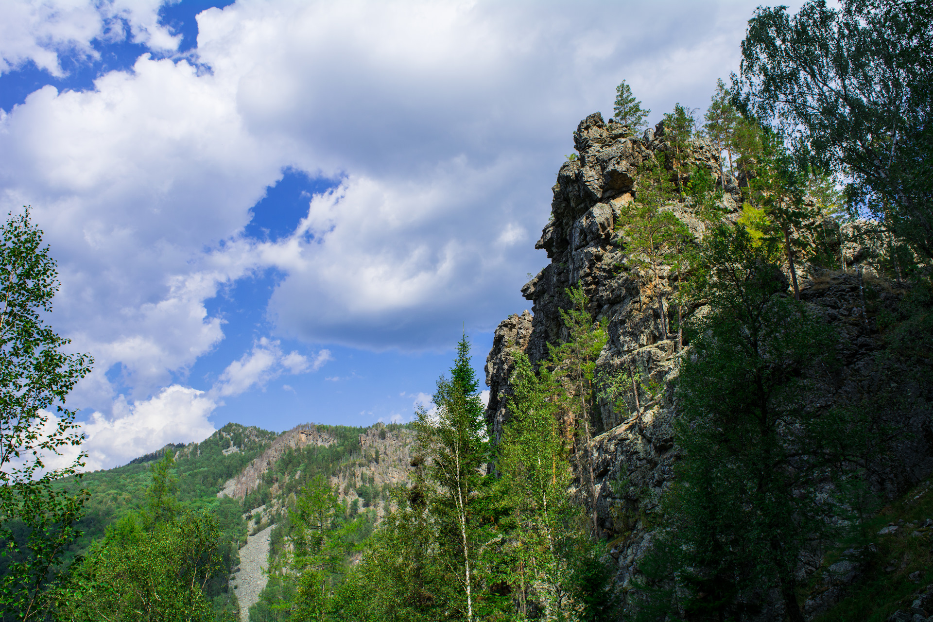 Зубы шурале фото айгир