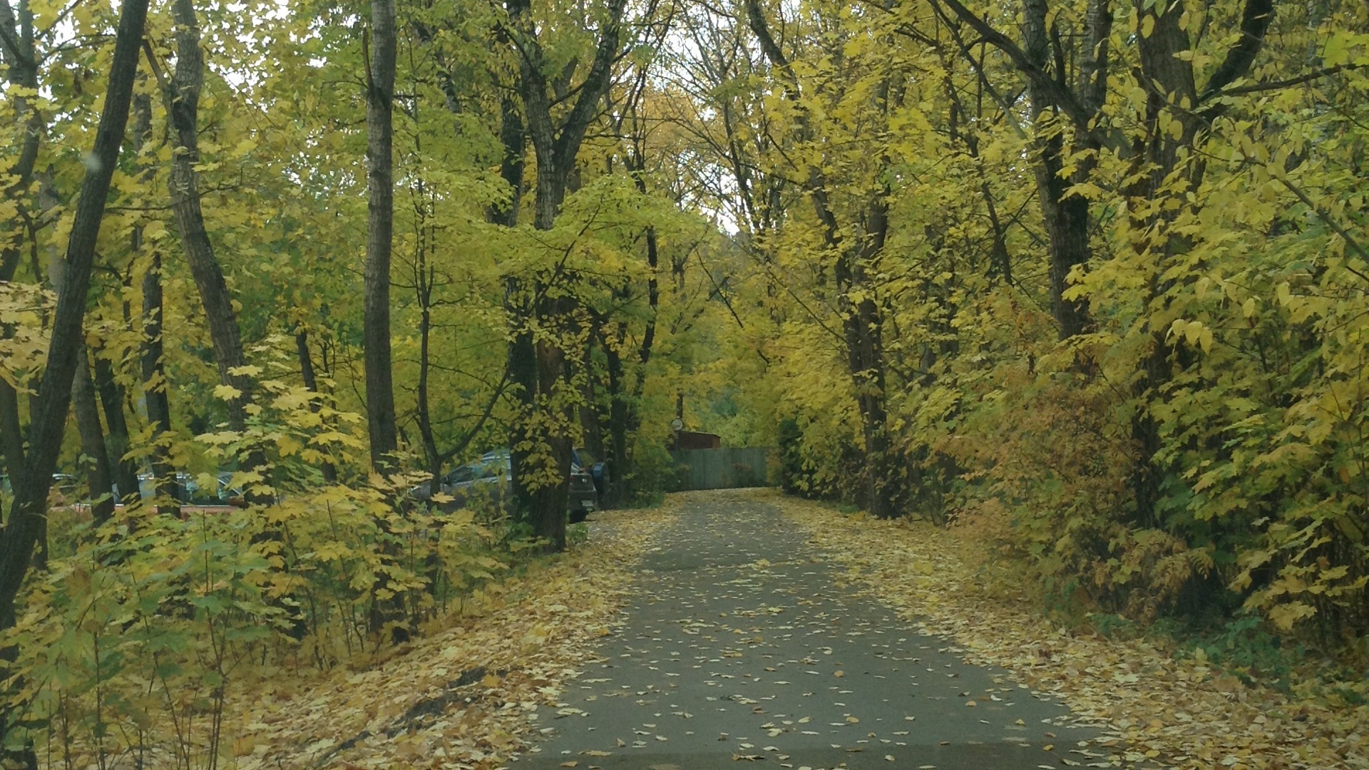 Volvo S60 (2G) 2.5 бензиновый 2012 | на DRIVE2