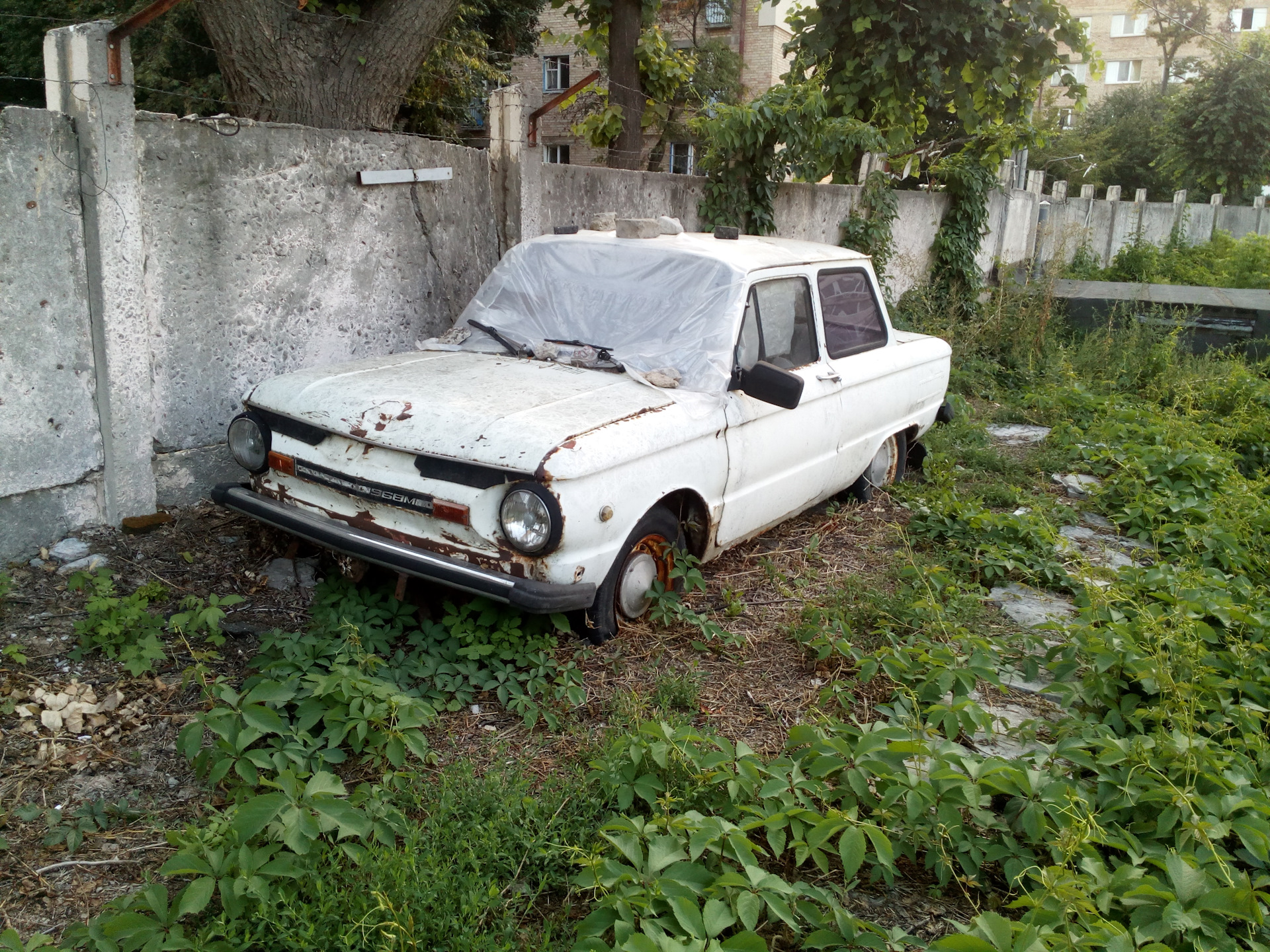 Заброшенный Запорожец в лесу