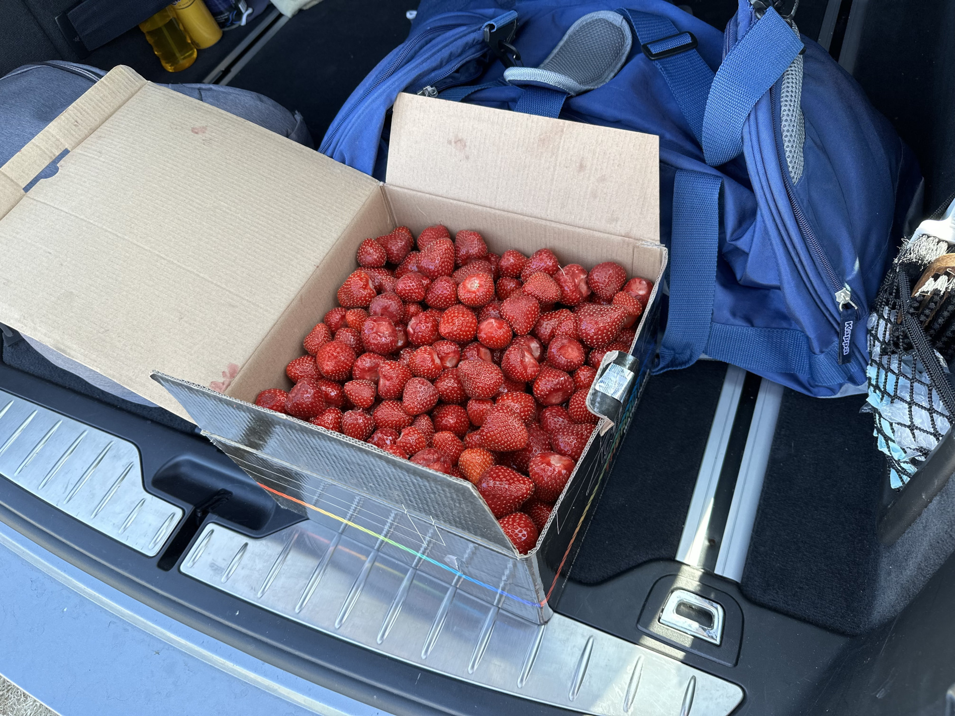 Заправка фреона — BMW 5 series Touring (F11), 2 л, 2015 года | заправка ...