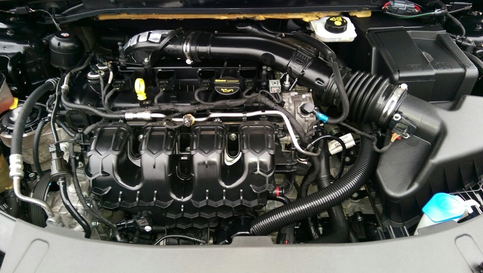 Двигатель Форд Мондео 4 2.0. Двигатель Мондео 4 1.6.
