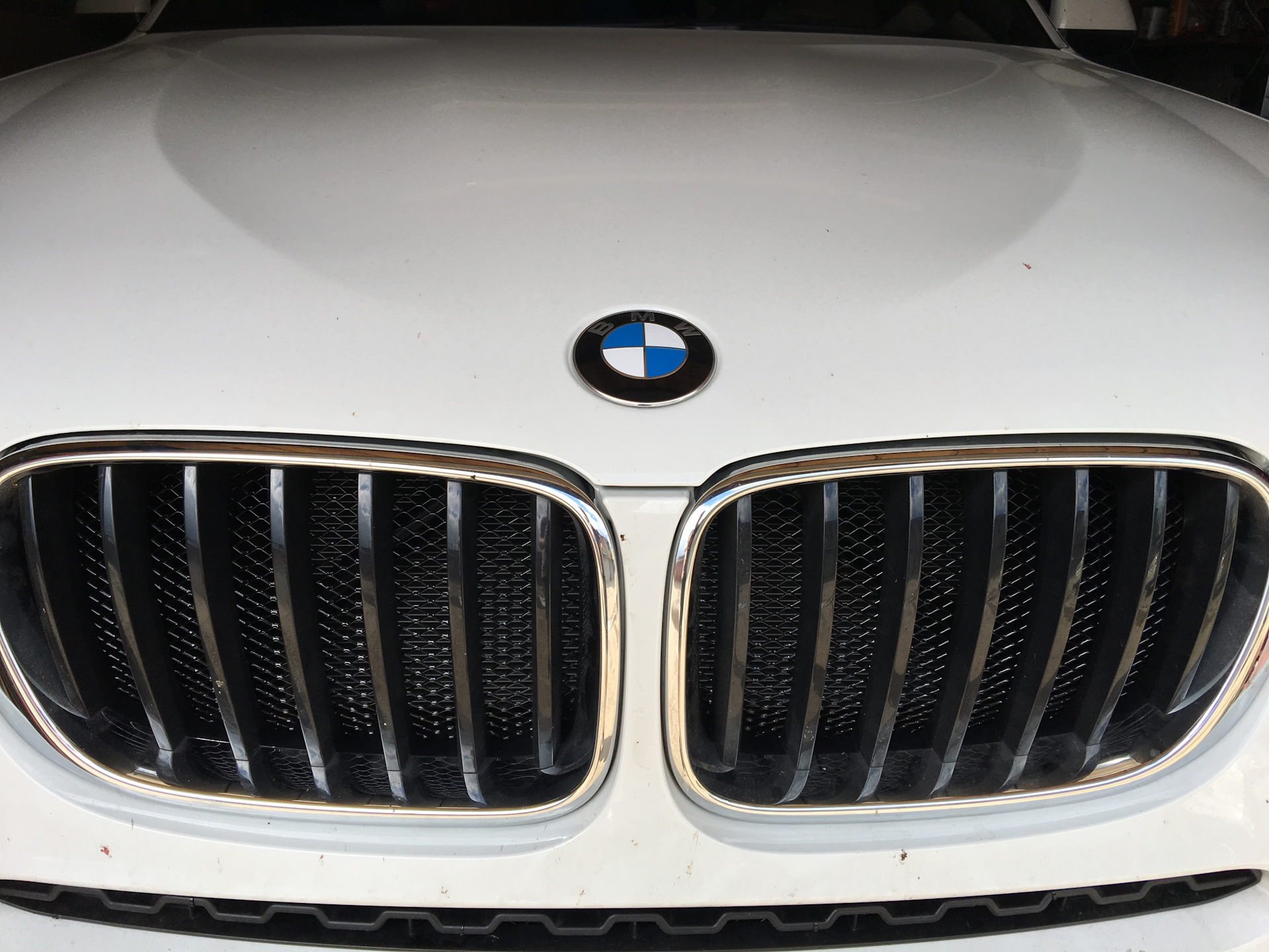 Новый нос - BMW 5 series (E39), 2,5 л, 1996 года фотография DRIVE2