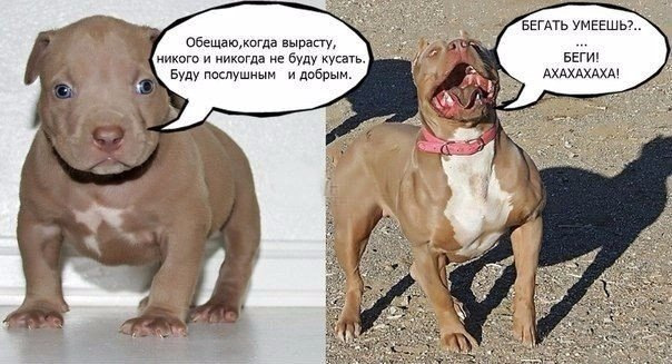 Вот Так И Живем Не Ждем Тишины — Drive2