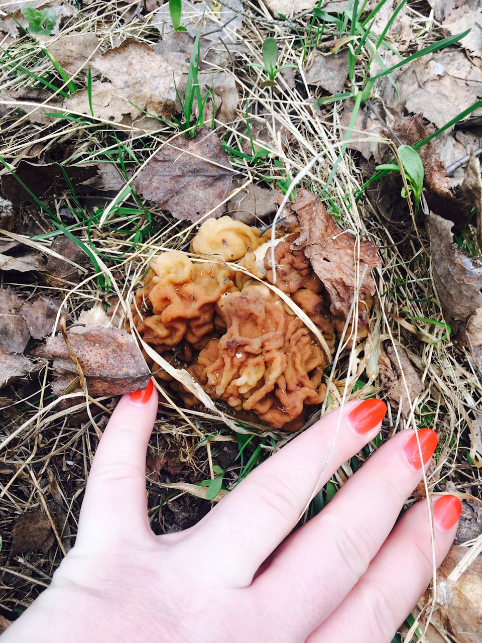 Фото в бортжурнале Nissan Note (1G)