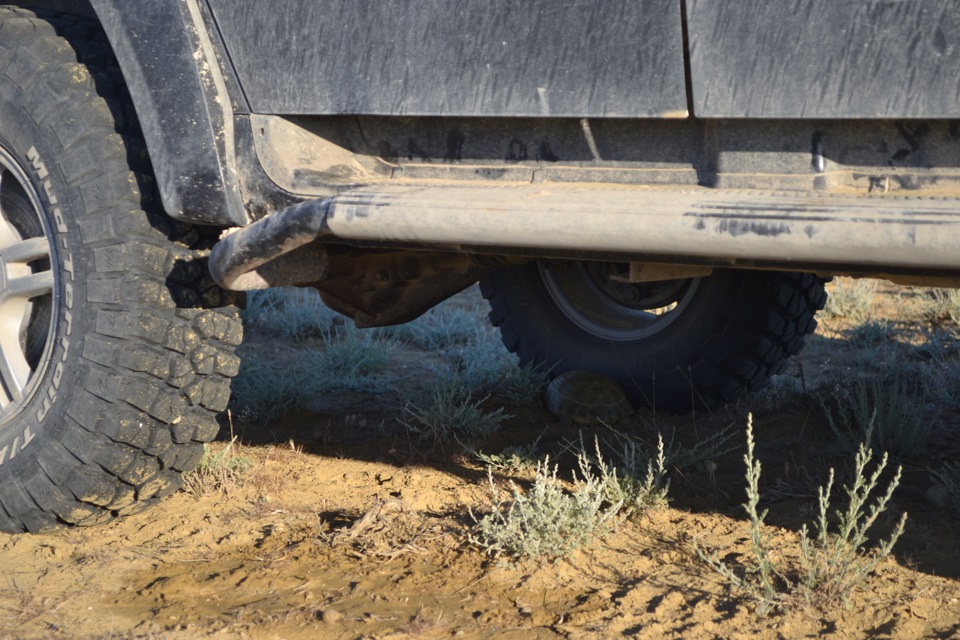 Фото в бортжурнале УАЗ Patriot