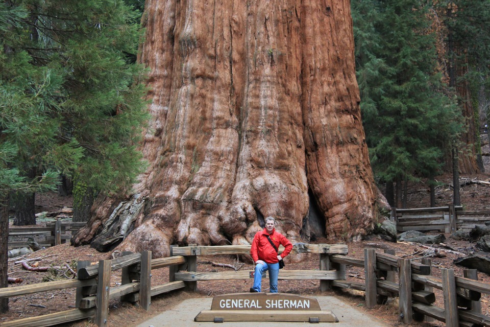 Топ 10 самых больших деревьевGeneral Sherman (Генерал Шерман) Калифорния, США
