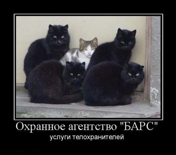Черный кот танцует мем Если тебе моют кости - благодари! Артроза не будет. Если тебе плюют в спину- гор