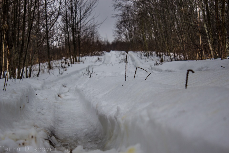 Фото в бортжурнале УАЗ Patriot