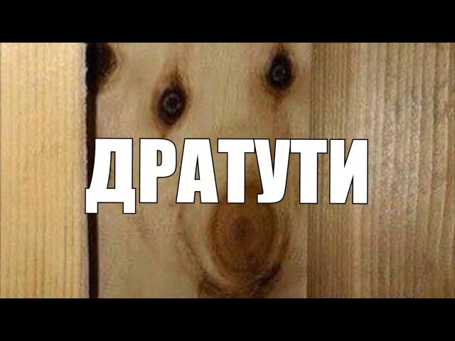 Дратуте я какую в туалете