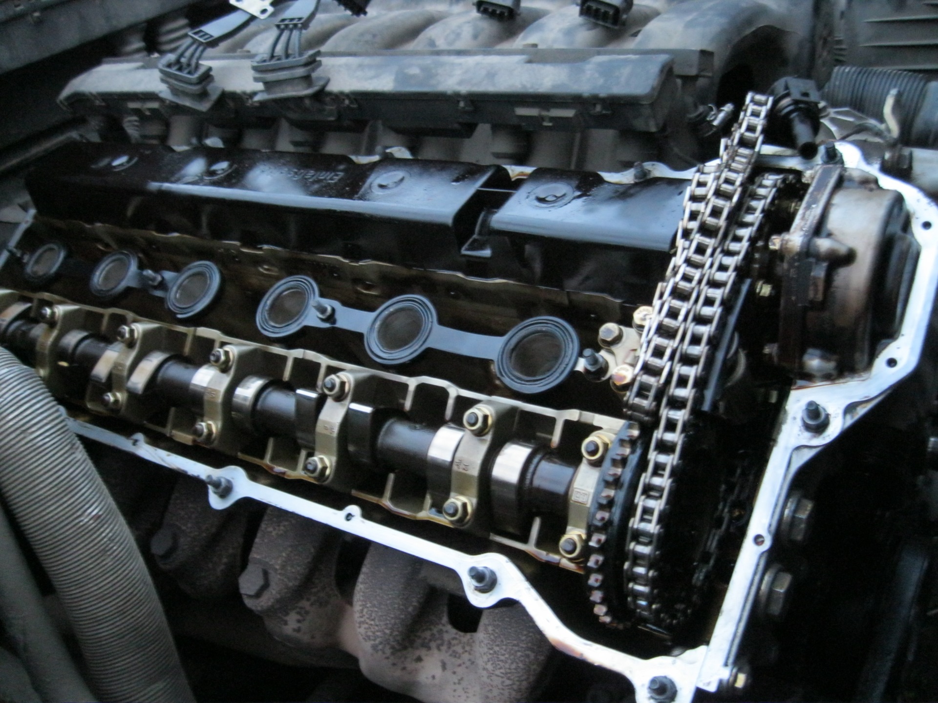 Цепь грм бмв е90 n52. N55b30 метки грм. Цепь грм бмв х6 n54. Цепь грм n20b20. Цепь грм масляного насоса бмв е39 523i.