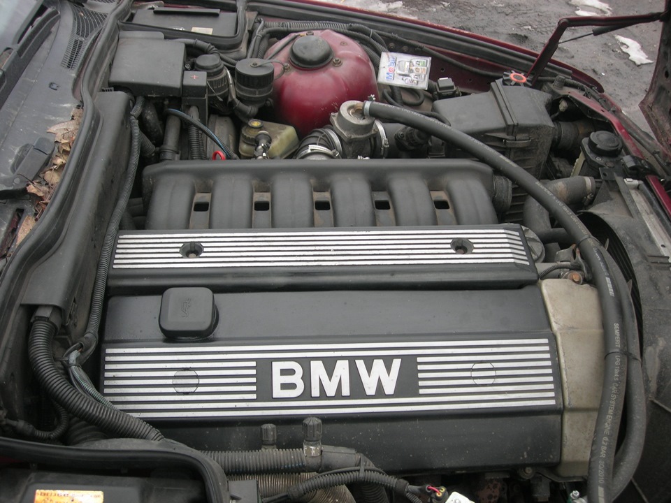 Двигатель б 50. БМВ е34 м50б25. Двигатель БМВ м50б25. Мотор м50 е34. М50 двигатель БМВ.