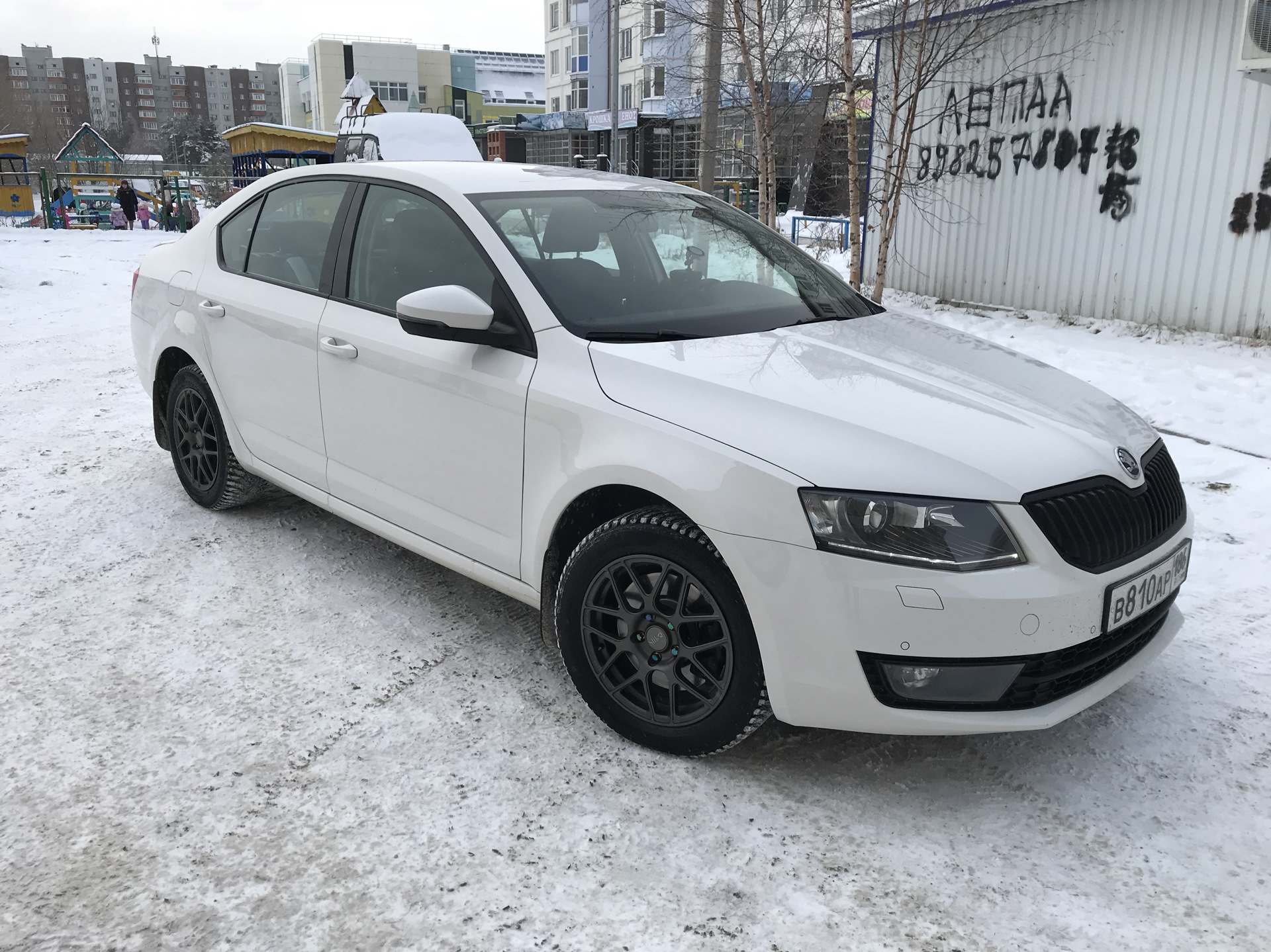 Skoda Octavia a7 зима