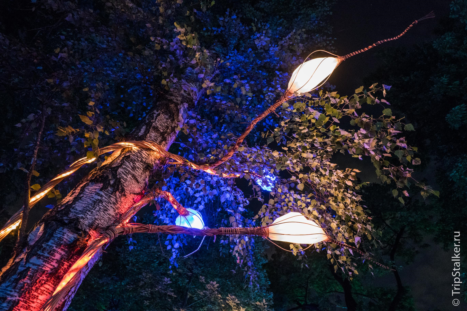 Волшебный лес в парке Останкино — DRIVE2