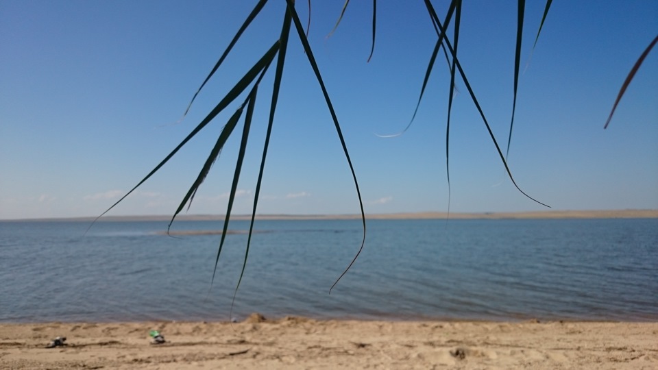 Карта шульбинского водохранилища восточно казахстанской области