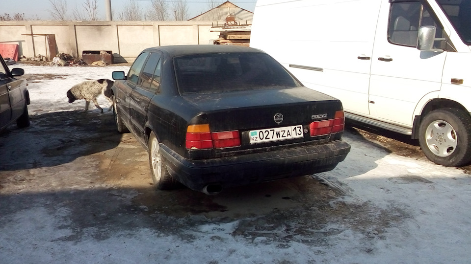 BMW 5 series (E34) 2.0 бензиновый 1994 | Бмв 520 м50 б20 ванос на DRIVE2