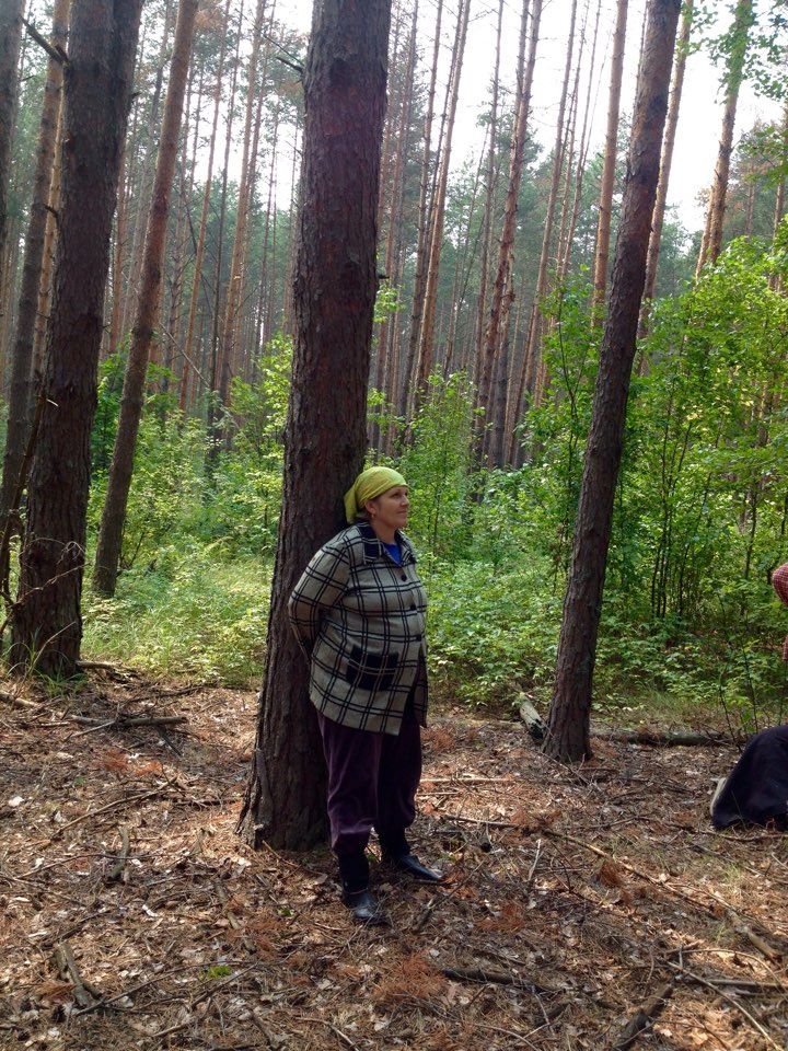 В лесу — УАЗ 3909, 2,4 л., 1998 года | фотография | DRIVE2