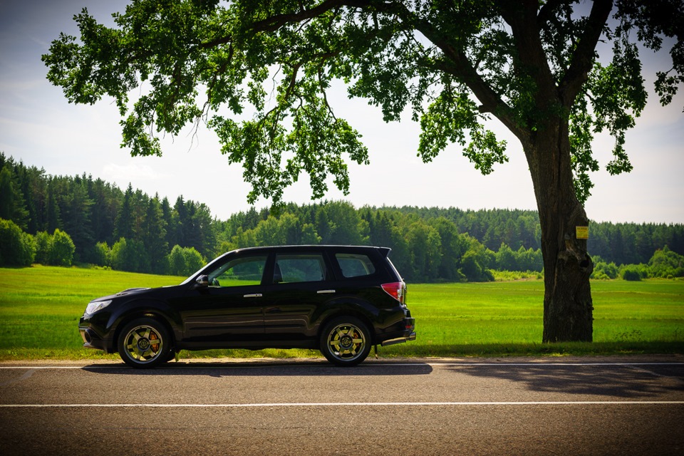 Фото в бортжурнале Subaru Forester (SH)