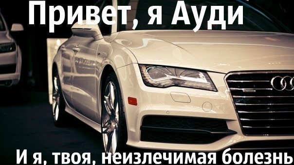 Ауди привет