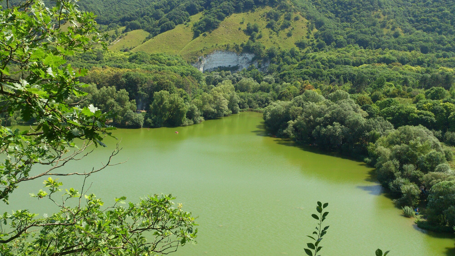 Станица Бекешевская зеленое озеро