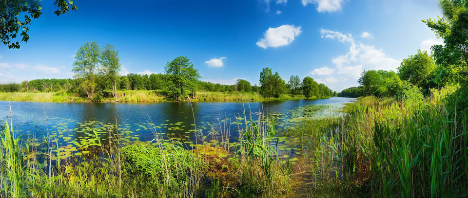 какие рыбы водятся в битюге. Смотреть фото какие рыбы водятся в битюге. Смотреть картинку какие рыбы водятся в битюге. Картинка про какие рыбы водятся в битюге. Фото какие рыбы водятся в битюге