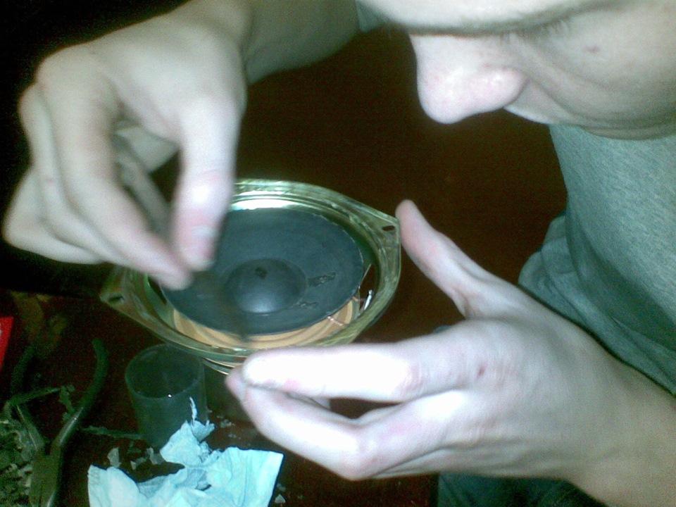 Замена подвеса динамика — DRIVE2