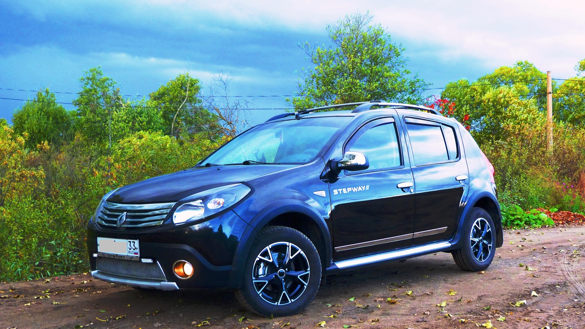 Дверь рено сандеро. Молдинги Renault Sandero Stepway 2. Молдинги на Рено Сандеро степвей 2. Renault Sandero Stepway 1 Tuning. Молдинги на Рено Сандеро степвей.