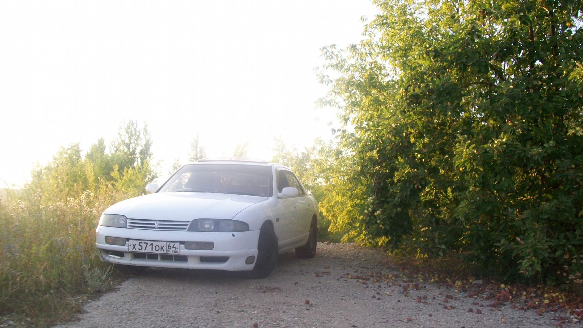 Nissan Skyline (R33) 2.5 бензиновый 1994 | ♂красавчик♂ 33 на DRIVE2