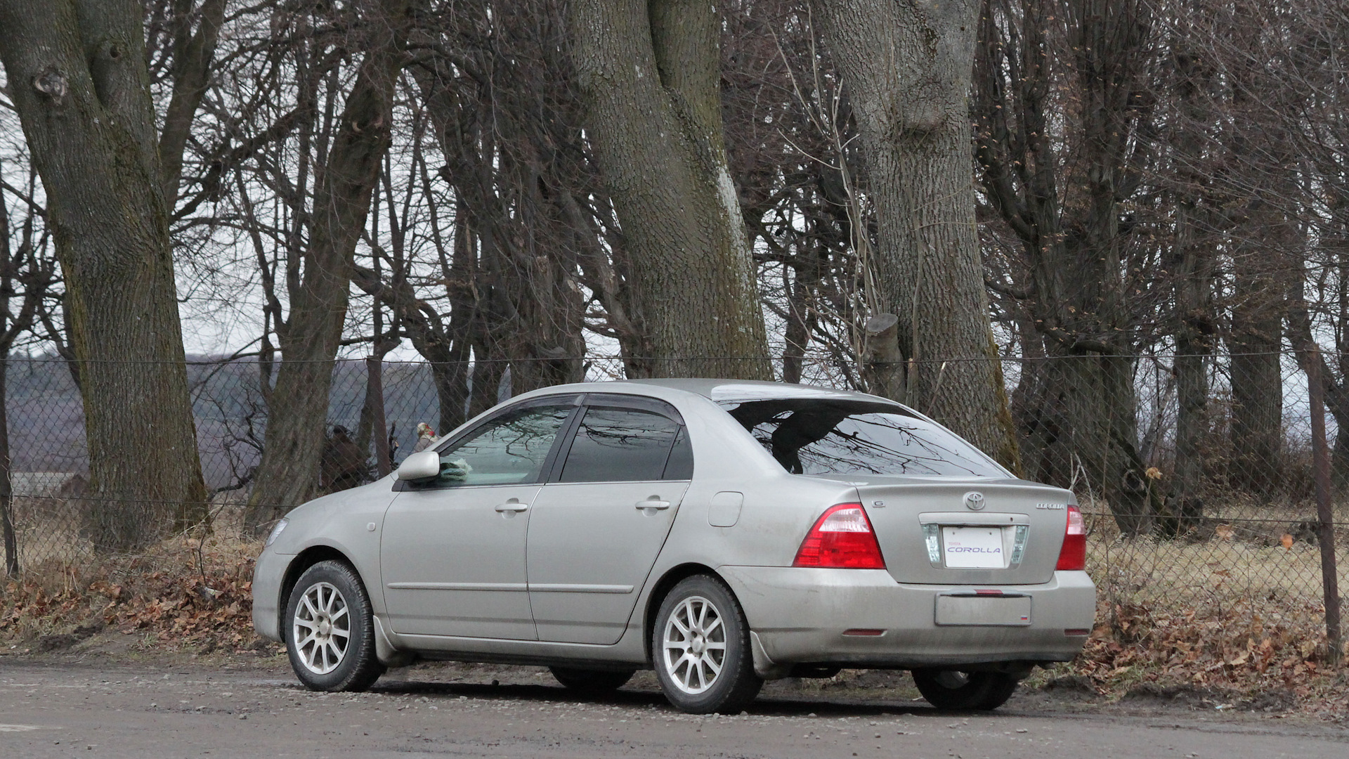 Toyota Corolla (120) 1.5 бензиновый 2005 | 1NZ-FE на DRIVE2