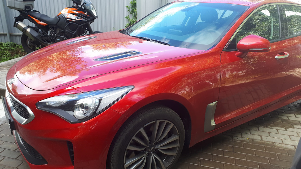 KIA Stinger 2.0 бензиновый 2019 | на DRIVE2