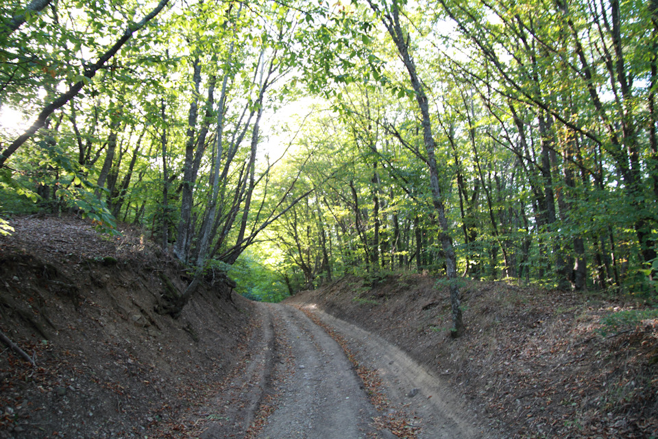 Ангарский перевал — Nissan Maxima QX (A33), 3 л, 2001 года | покатушки ...