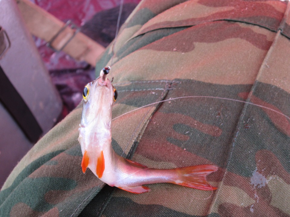 НГ 2015 или попытка стать рыбаком — DRIVE2